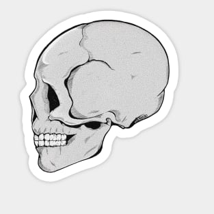 Skull (white background) Sticker